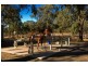 Cawdor NSW 2570