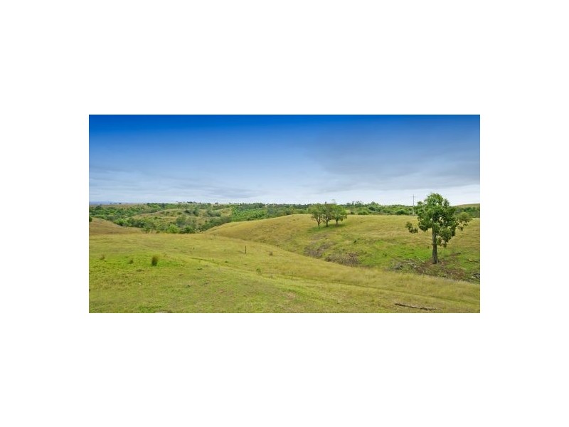 Razorback NSW 2571