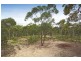 Buxton NSW 2571