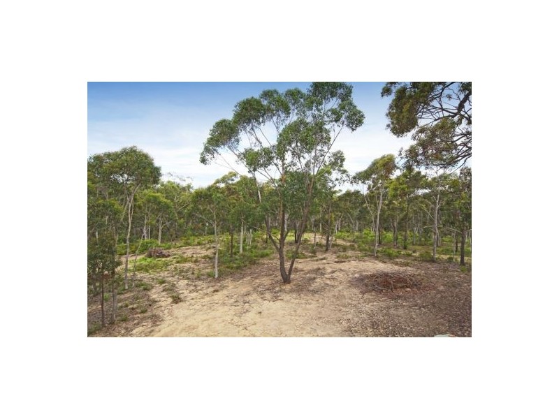 Buxton NSW 2571
