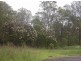 Austral NSW 2179