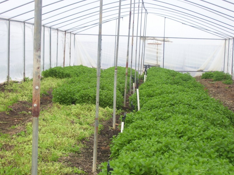 Kemps Creek NSW 2178