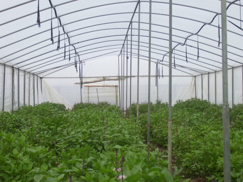 Kemps Creek NSW 2178