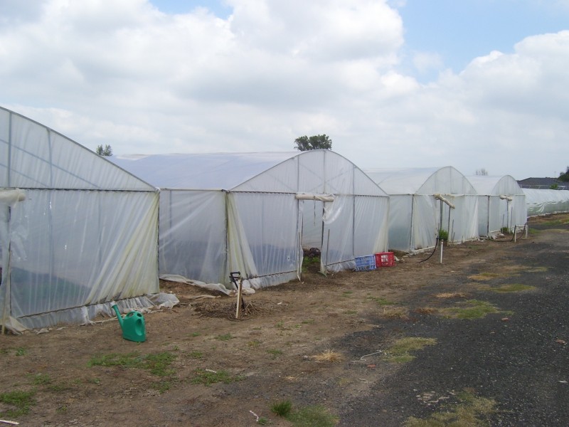 Badgerys Creek NSW 2555