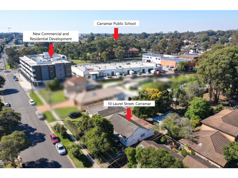 10 Laurel Street, Carramar NSW 2163