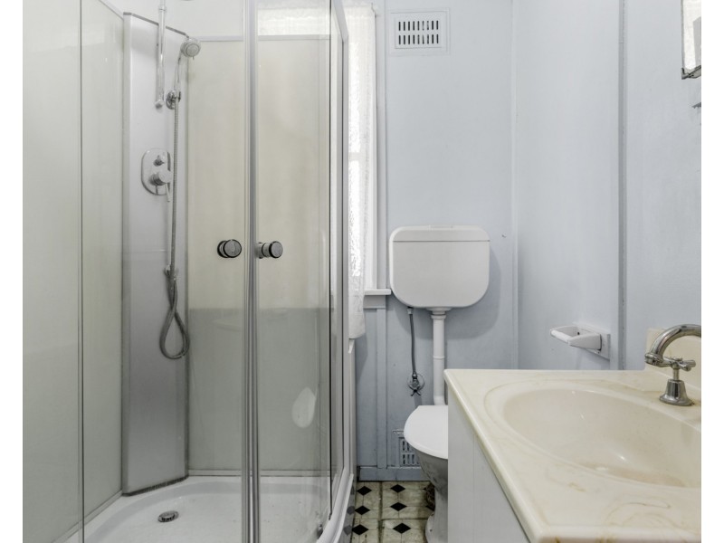 166 Elizabeth Drive, Ashcroft NSW 2168