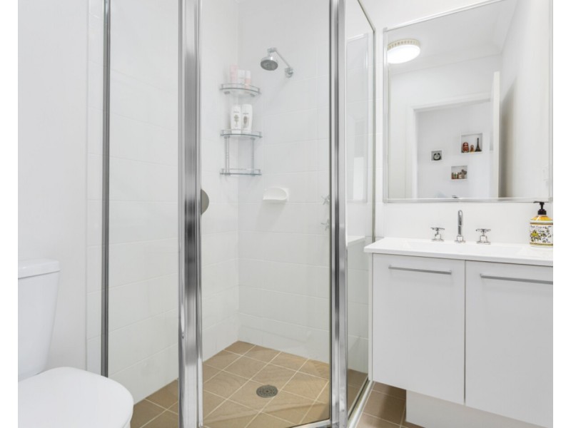 20 Mcintyre Circuit, Middleton Grange NSW 2171