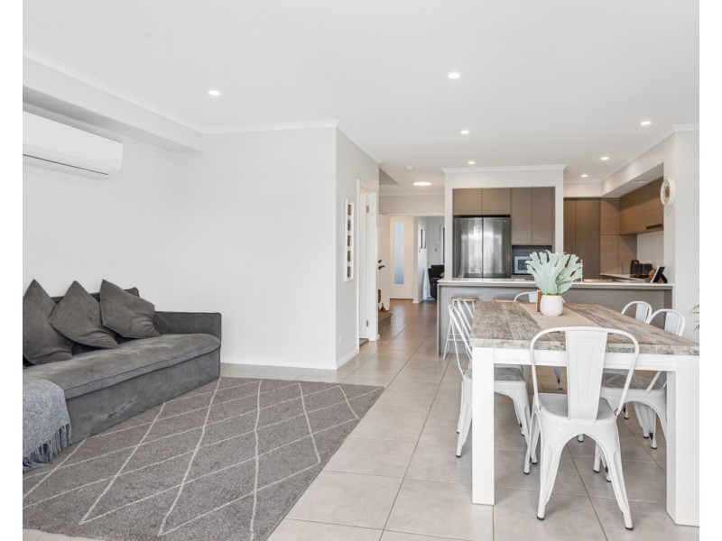 38 Romney Street, Elderslie NSW 2570