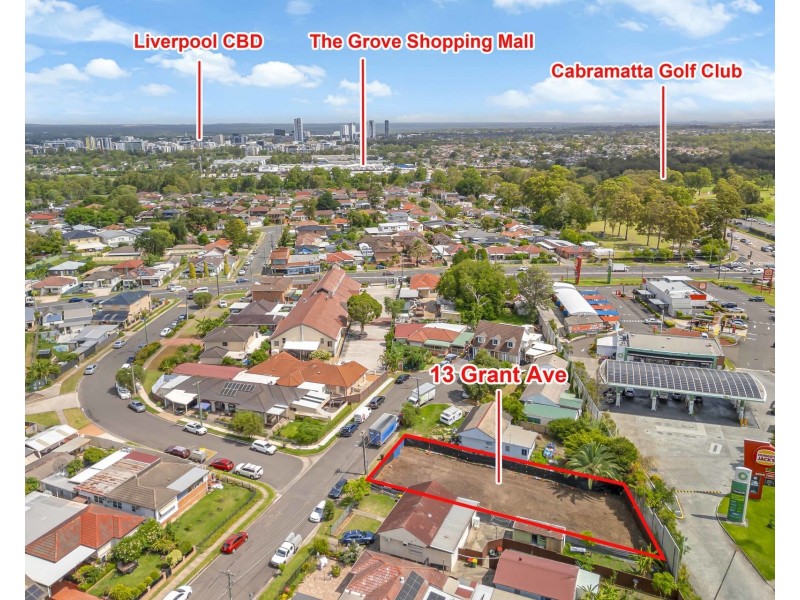 13 Grant Avenue, Cabramatta NSW 2166