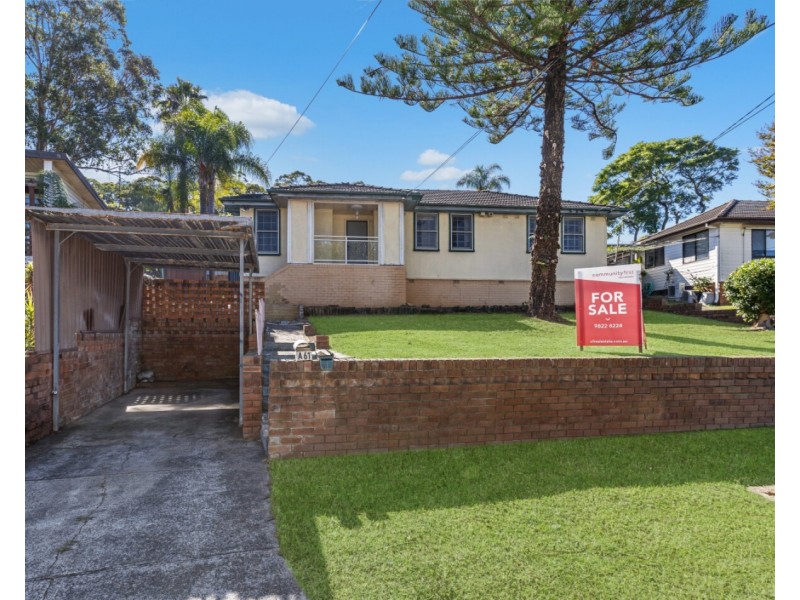 61 Devlin Street, Ashcroft NSW 2168