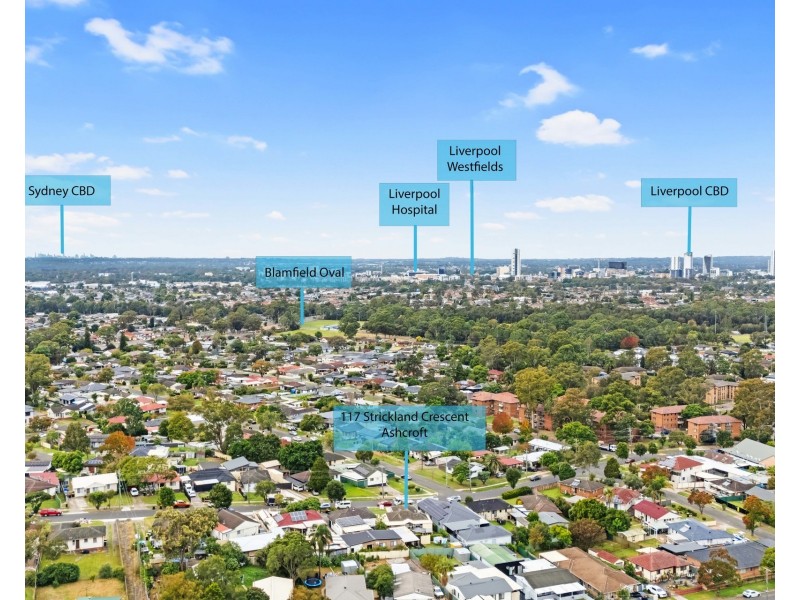 117 Strickland Crescent, Ashcroft NSW 2168