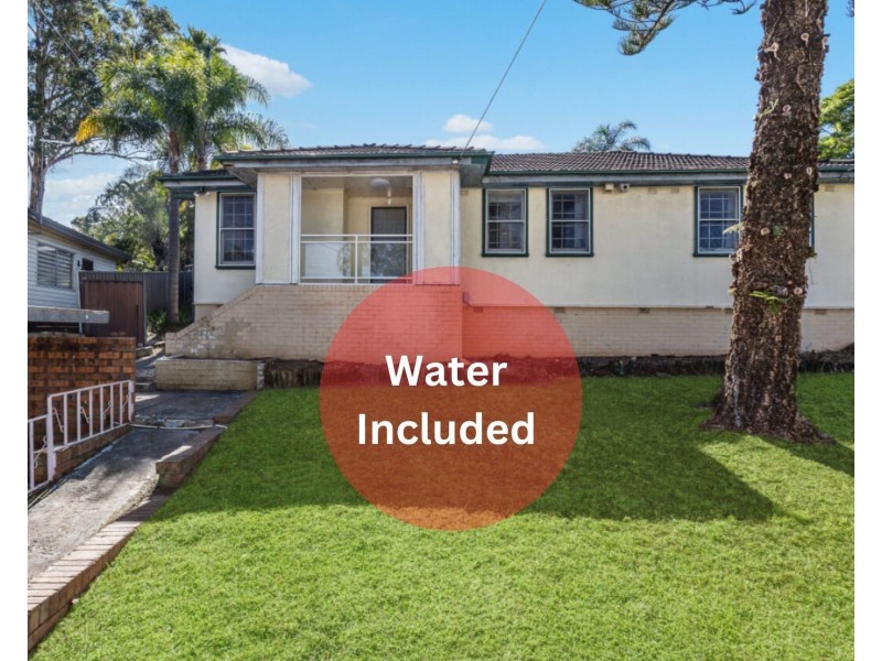 61 Devlin Street, Ashcroft NSW 2168