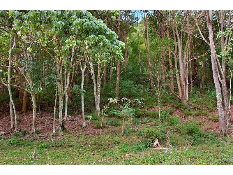 226 Crabbes Creek Road, Crabbes Creek NSW 2483