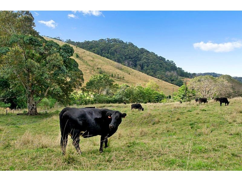 226 Crabbes Creek Road, Crabbes Creek NSW 2483