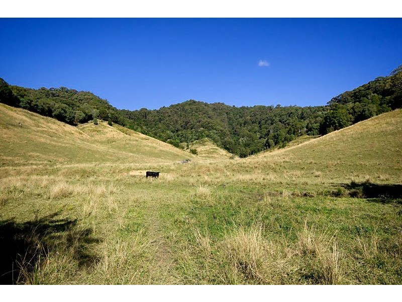 226 Crabbes Creek Road, Crabbes Creek NSW 2483