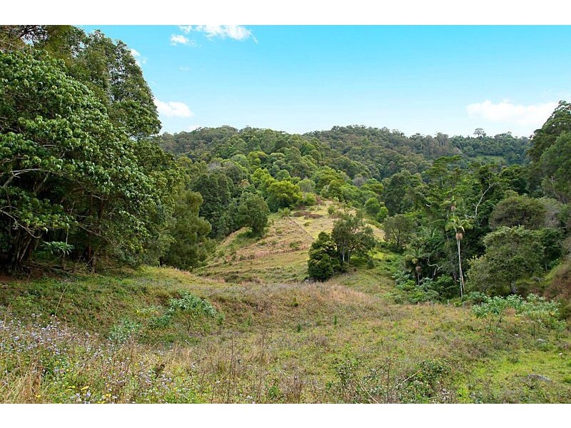 226 Crabbes Creek Road, Crabbes Creek NSW 2483