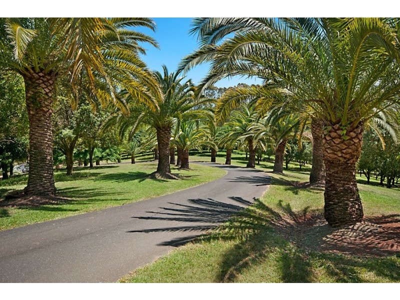 1390 Hinterland Way, Bangalow NSW 2479