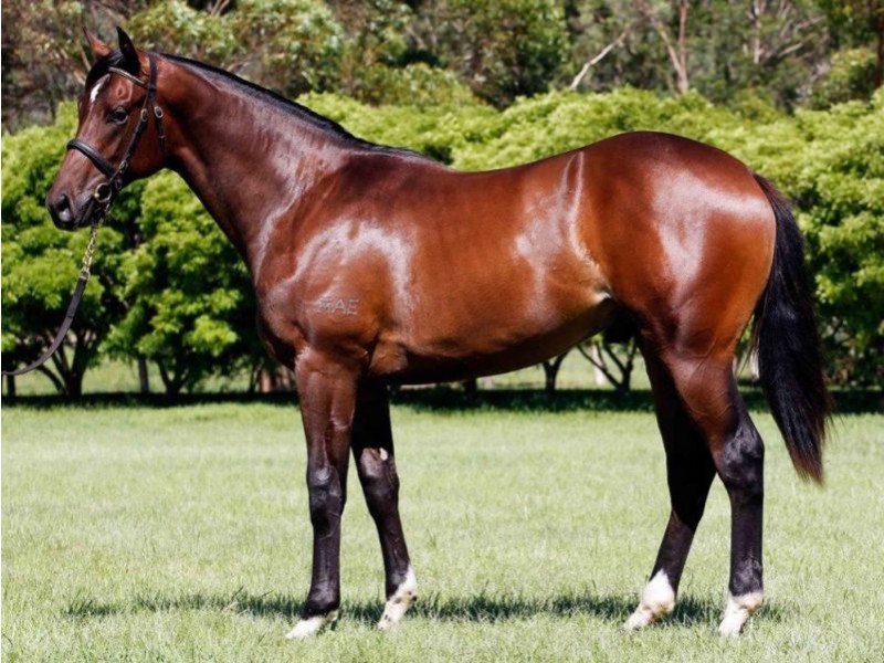 34 Kookaburra Court, Stokers Siding NSW 2484