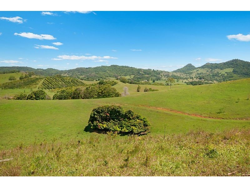201 Middle Pocket Road, Billinudgel NSW 2483