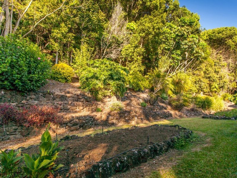 176 Moffatts Road, The Pocket NSW 2483