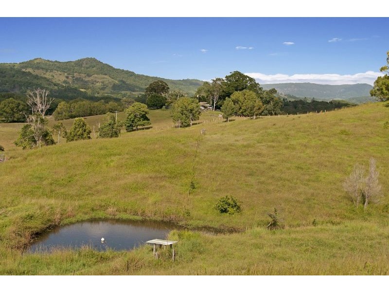 156 The Pocket Road, Billinudgel NSW 2483