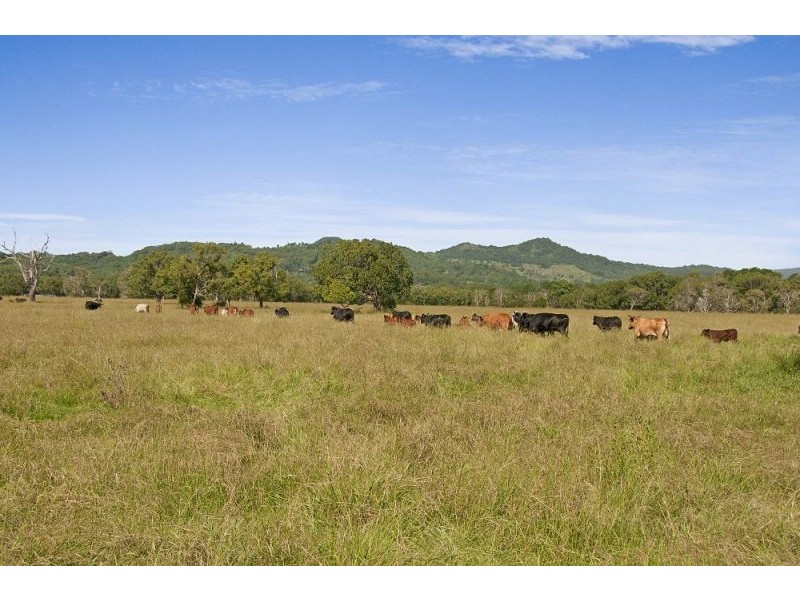 156 The Pocket Road, Billinudgel NSW 2483