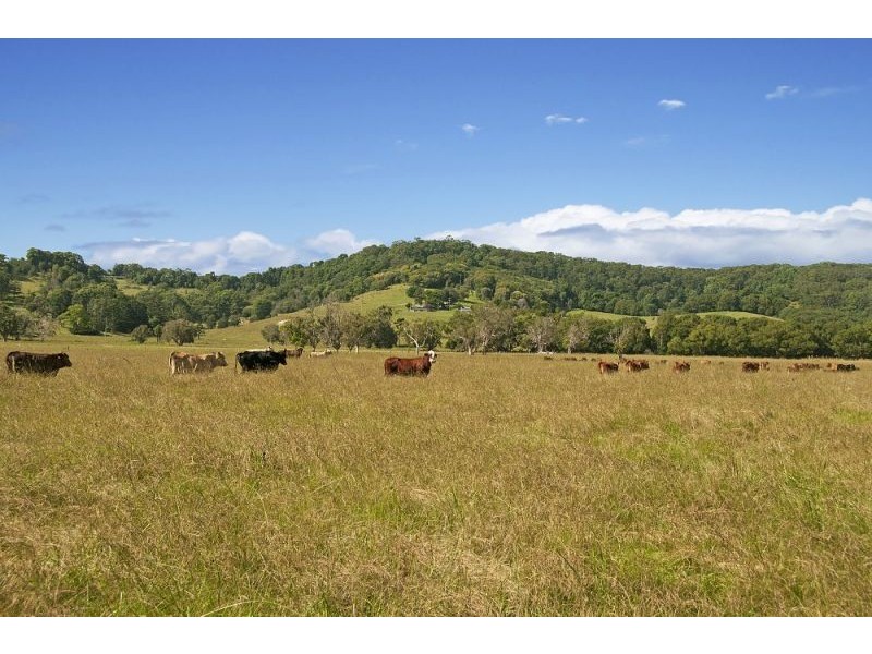 156 The Pocket Road, Billinudgel NSW 2483