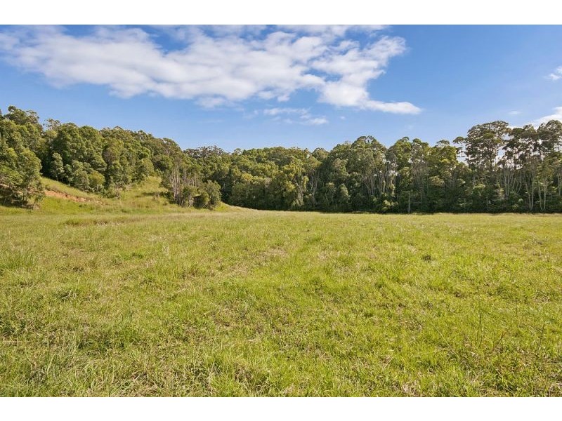 156 The Pocket Road, Billinudgel NSW 2483