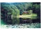 112 Mount Warning Road, Mount Warning NSW 2484