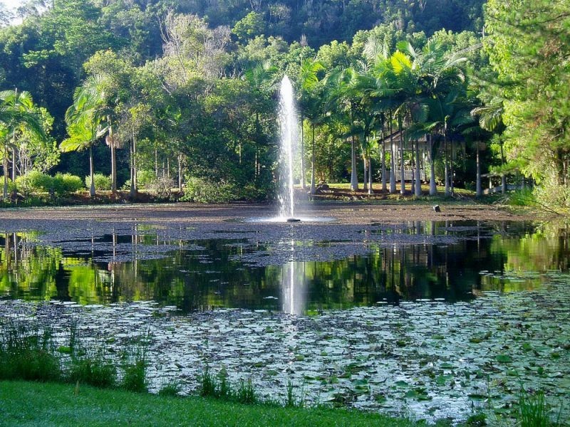 112 Mount Warning Road, Mount Warning NSW 2484