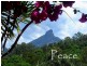 112 Mount Warning Road, Mount Warning NSW 2484