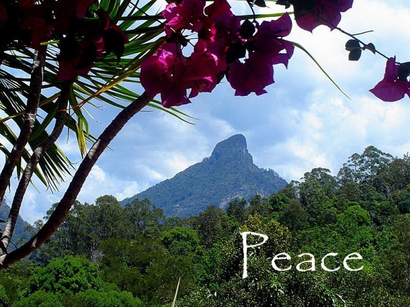 112 Mount Warning Road, Mount Warning NSW 2484