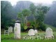 112 Mount Warning Road, Mount Warning NSW 2484