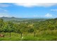 160 Frasers Road, Mullumbimby NSW 2482
