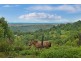 160 Frasers Road, Mullumbimby NSW 2482