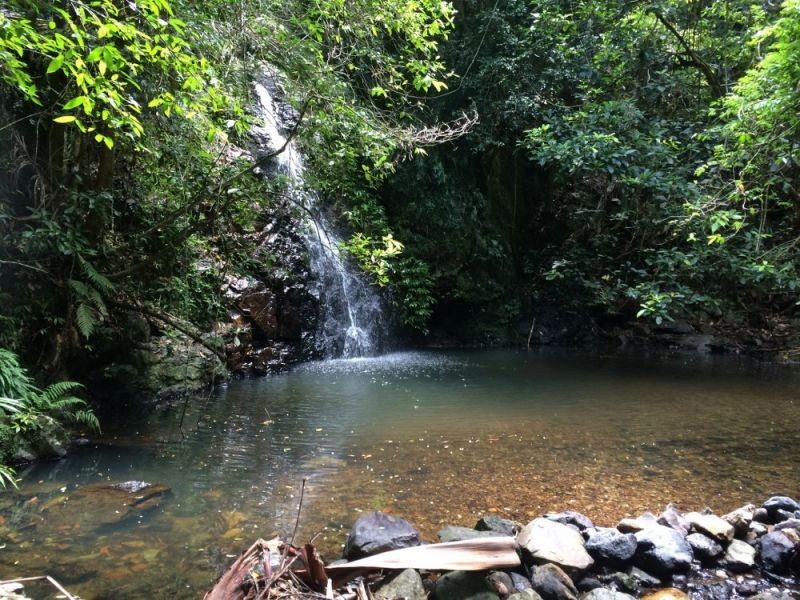 558 Middle Pocket Road, Middle Pocket NSW 2483