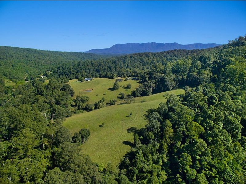 458 Byrrill Creek Road, Uki NSW 2484