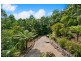 471 Upper Wilsons Creek Road, Upper Wilsons Creek NSW 2482