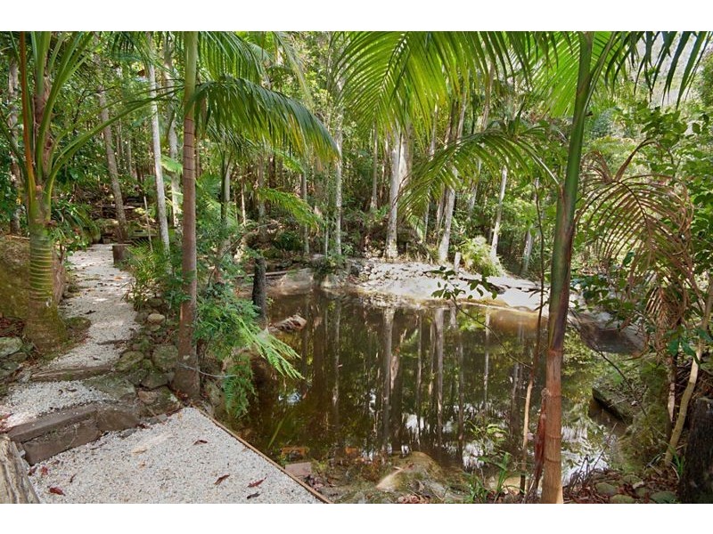 471 Upper Wilsons Creek Road, Upper Wilsons Creek NSW 2482