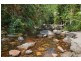 471 Upper Wilsons Creek Road, Upper Wilsons Creek NSW 2482