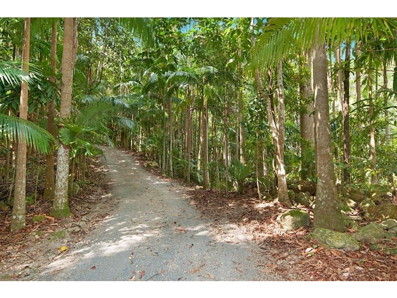 471 Upper Wilsons Creek Road, Upper Wilsons Creek NSW 2482