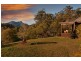 Mount Warning NSW 2484