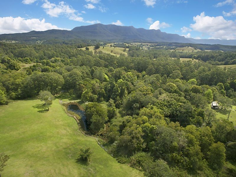 Mount Warning NSW 2484