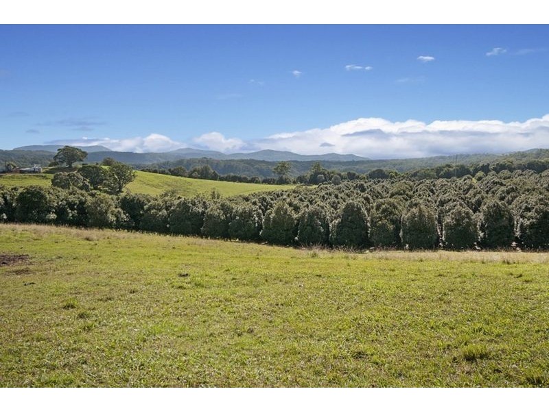 35 Starkey Road, Whian Whian NSW 2480