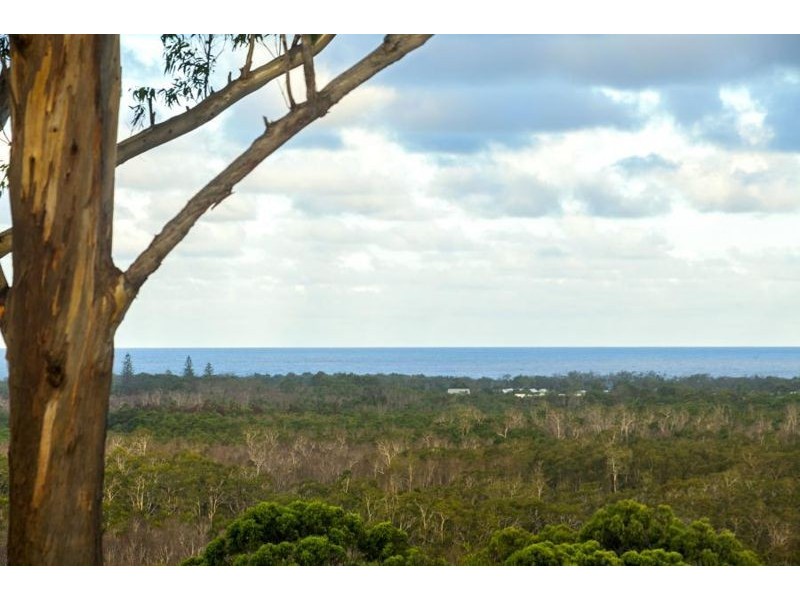 56 Hazelwood Drive, Pottsville NSW 2489