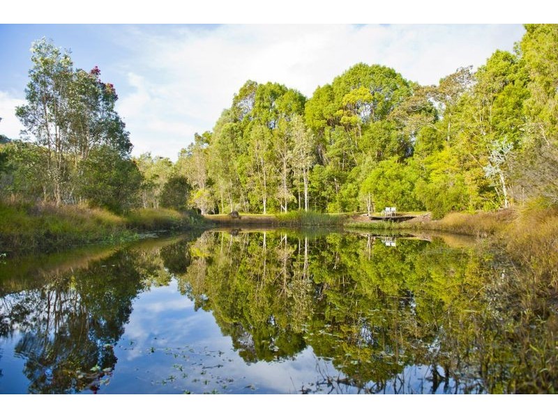 Crabbes Creek NSW 2483