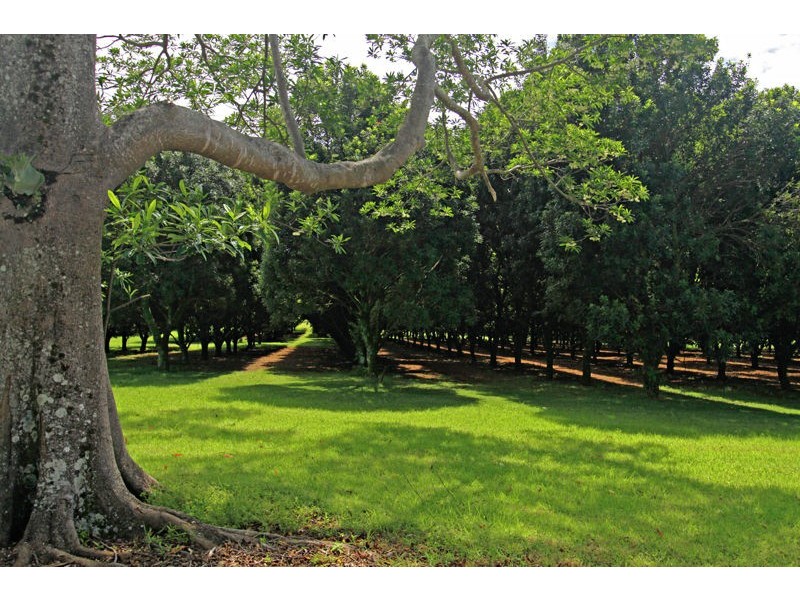 277 Friday Hut Road, Tintenbar NSW 2478