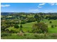 57 Crabbes Creek Road, Crabbes Creek NSW 2483