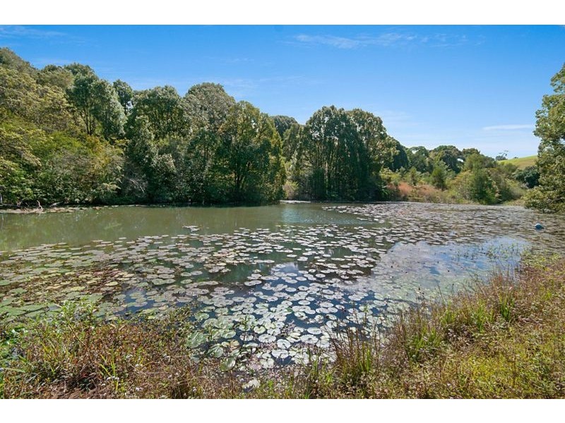 305 Coolamon Scenic Drive, Coorabell NSW 2479