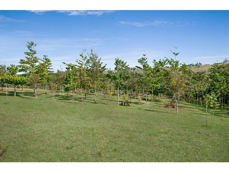 305 Coolamon Scenic Drive, Coorabell NSW 2479